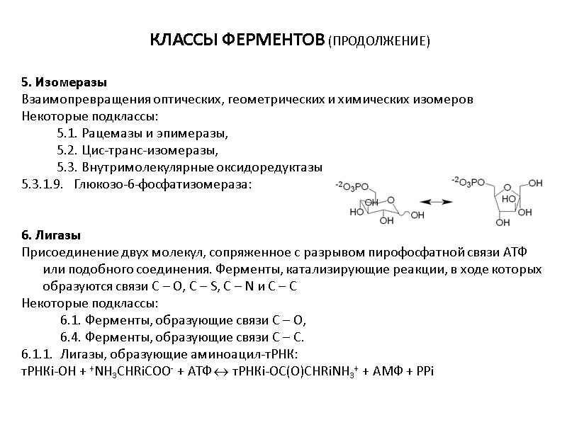 5. Изомеразы Взаимопревращения оптических, геометрических и химических изомеров Некоторые подклассы:    